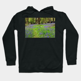 Bluebell Woods Basildon Park Berkshire UK Hoodie